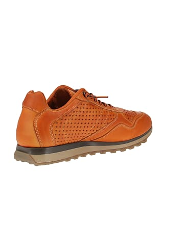 Cetti Sneaker low C-848 INV27 in Orange