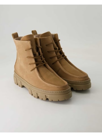 Paul Green Schnürstiefeletten in Beige