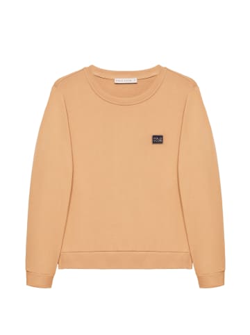 Polo Club Sweatshirt in Braun