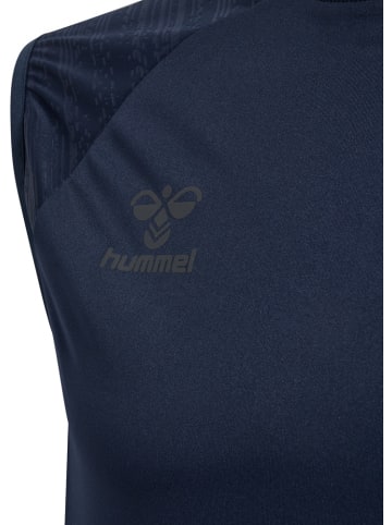 Hummel Sportshirt "Pro Training Jersey S/L" in Blau