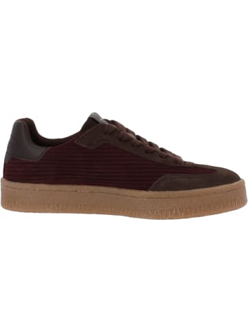 Tamaris Schnürschuhe in MERLOT COMB