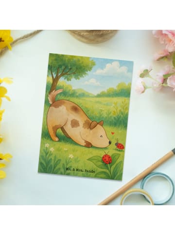 Mr. & Mrs. Panda Postkarte Hund Marienkäfer Design ohne Spruch in Weiß