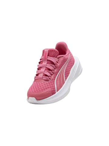 Puma Niedrige Schnürsenkel Sneakers Kind Dasher Sliptech Inf Magic