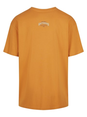 Mister Tee Mister Tee Greyhound Racing Oversize Tee in forgottenorange