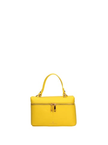Chiara Ferretti Handtasche in YELLOW
