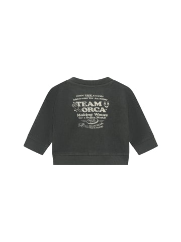 Noppies Sweater - Backprint in Balsam Green