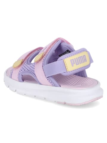 Puma Sandalen EVOLVE SANDAL PC in Violett