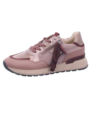 Gabor Schnürschuh in bunt