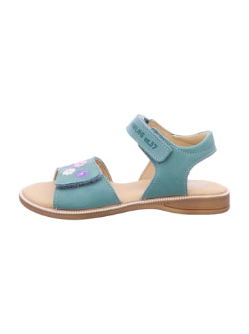 Däumling Sandalen in Oliv