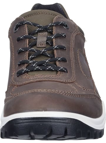 Ecco Sneakers Low in grau