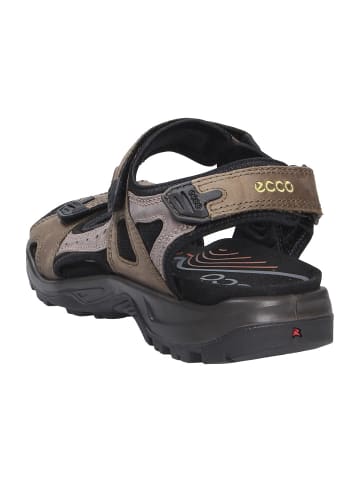 Ecco Sandale OFFROAD in braun