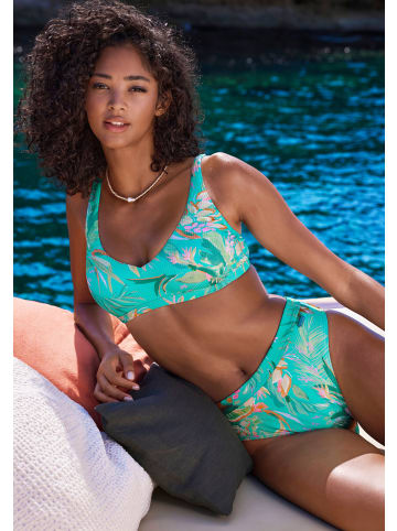 Venice Beach Highwaist-Bikini-Hose in türkis bedruckt