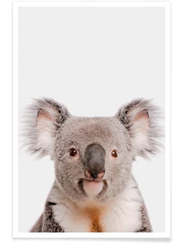 Juniqe Poster "Koala" in Cremeweiß & Grau