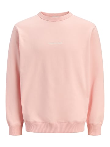 Jack & Jones Sweatshirt in Peach Melba