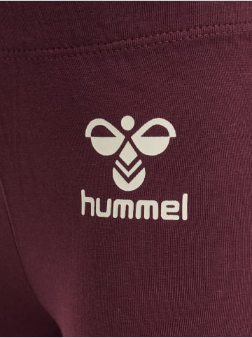 Hummel Leggings Hmlmaule Tights in WINDSOR WINE