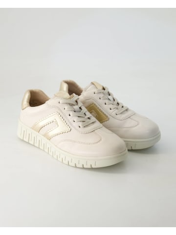 Terry Sneaker low in Beige