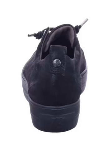 Paul Green Schnürschuh in schwarz