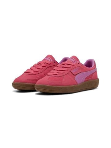 Puma Sneaker "Palermo JR" in Pink