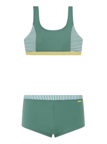 Protest " PRTSindu JR in Veggie Green