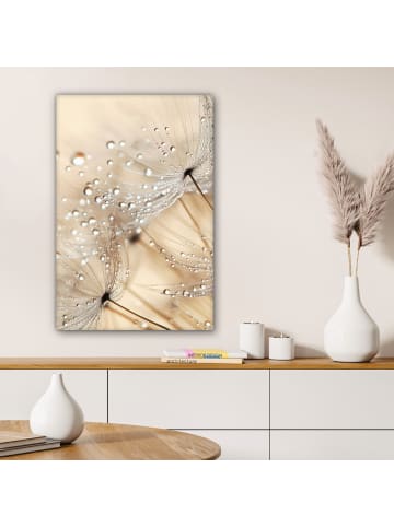 MuchoWow Poster mit Leiste Tropfen (BxH)