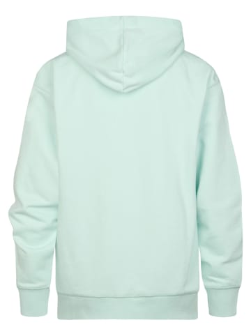 Petrol Industries Hoodie Obregón in Grün