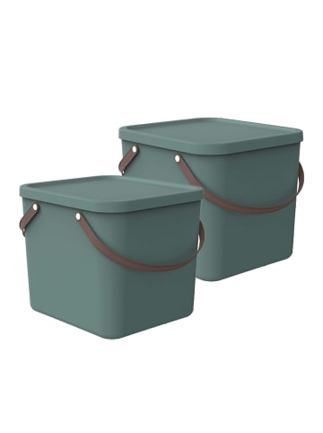 Rotho 2er-Set Aufbewahrungsbox 40l mit Deckel in Mistletoe grün