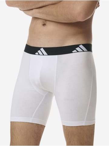 adidas Boxer Active Flex Cotton in schwarz, weiß, grau