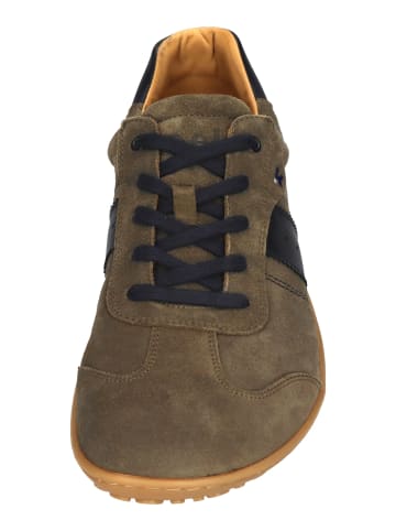 KOEL Sneaker Low ILO SUEDE 3.0 in grün