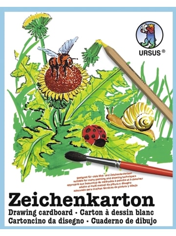 Buntpapierfabrik Ludwig Bähr Zeichenkarton 250g/qm A4 Packung mit 250 Bogen