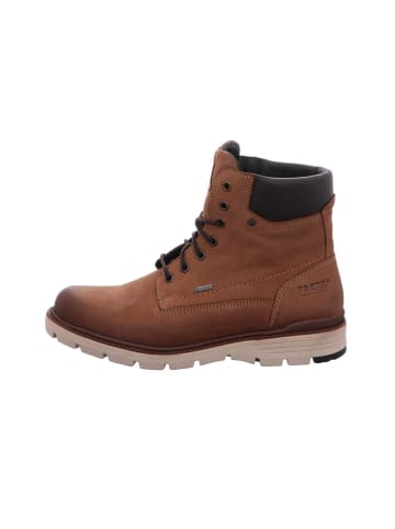 Fretz Men Boots  in Braun