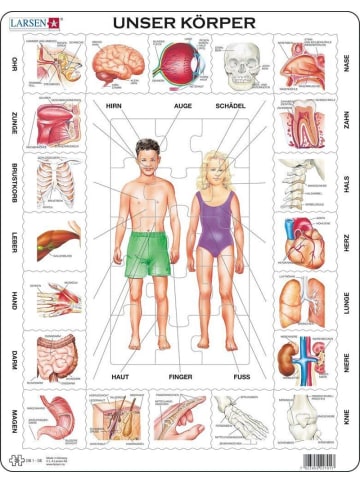 media Unser Körper (Kinderpuzzle)