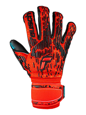 Reusch Torwarthandschuhe Attrakt Freegel Gold in 3333  brig red/futr blu/blck