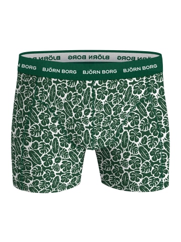 Björn Borg Boxershort 5er Pack in Grün