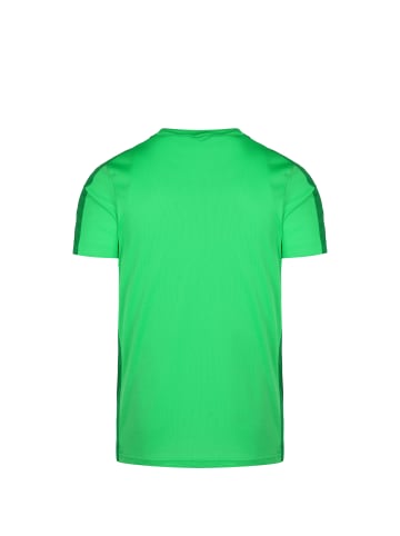 Nike Performance Trainingsshirt Dri-FIT Academy 23 in grün / dunkelgrün
