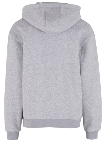 Sweatshirt FLUFFY ZIP in Grau