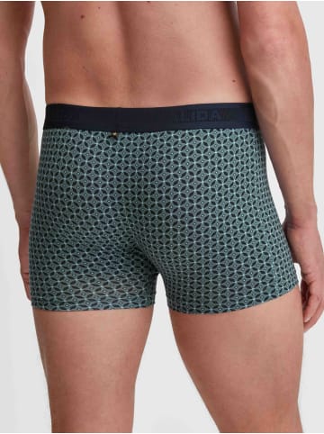 Calida New Boxer in dark glen