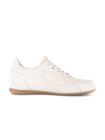 Gabor Sneaker low in beige