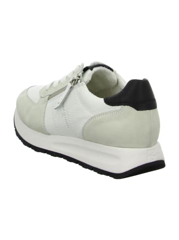 Paul Green Sportliche Schnürschuhe in Weiß