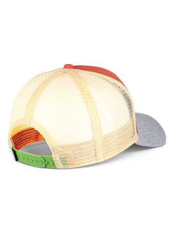 DJINNS Baseball Cap in orange