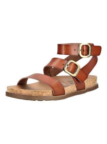 Blowfish Sandalen in Scotch