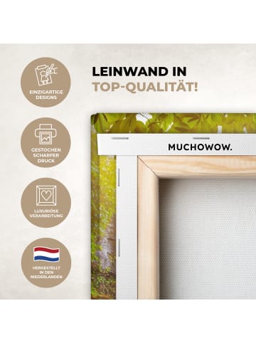 MuchoWow Leinwand bilder Sonniger Wasserfall (BxH)