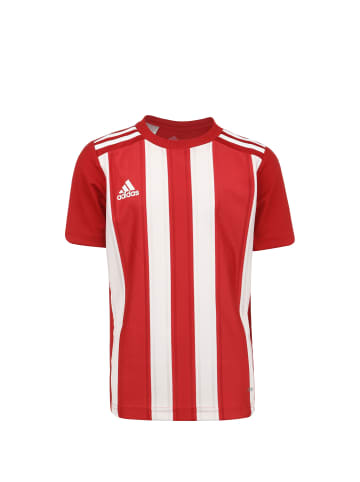 adidas Performance Fußballtrikot Striped 21 in rot / weiß