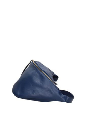 Chiara Ferretti Bauchtasche in DARK BLUE