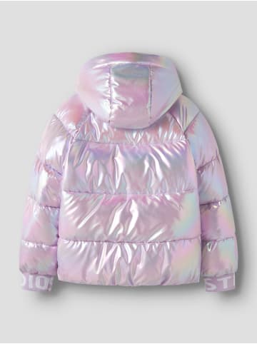 name it Pufferjacke in Phalaenopsis1