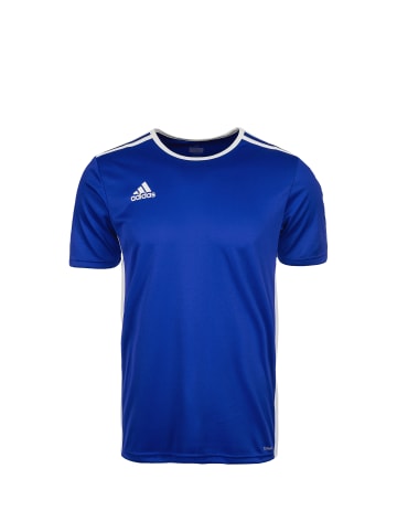 adidas Performance Fußballtrikot Entrada 18 in blau / weiß