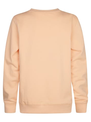 Petrol Industries Bedrucktes Crewneck-Sweatshirt Ocotillo in Orange