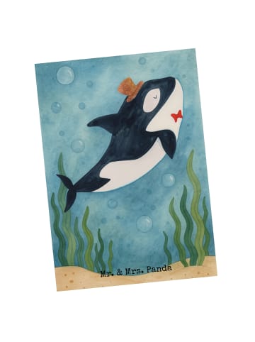 Mr. & Mrs. Panda Wanddeko Orca Zylinder Design ohne Spruch in Weiß