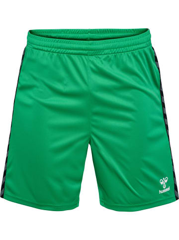 Hummel Hummel Shorts Hmlauthentic Multisport Herren Atmungsaktiv Schnelltrocknend in JELLY BEAN