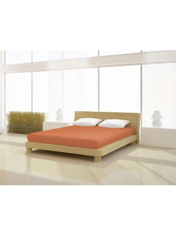 Mr.Sandman Topper Spannbetttuch Full Elastan de luxe 200 x 200 cm in zimt