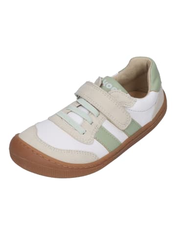 KOEL Sneaker Low Dylan Leather in bunt